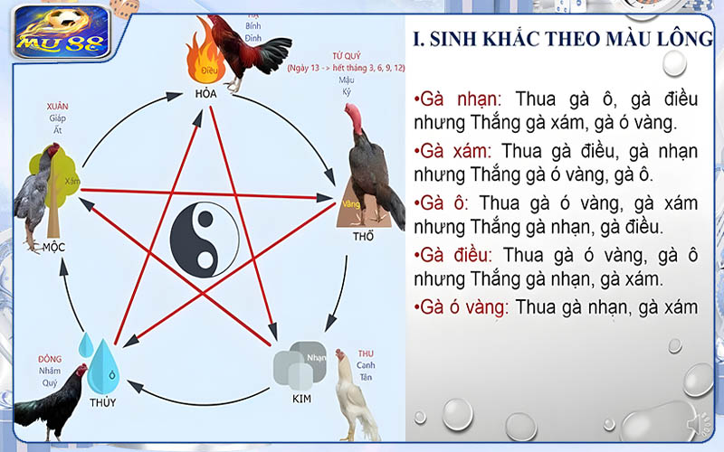 Tại sao cần xem ngày chiến kê ra trận?